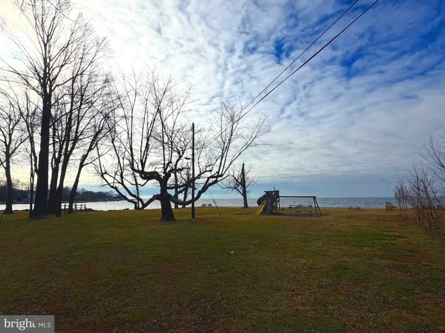 a view of swimming pool with a yard