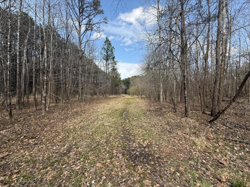 44.36-ac City Avenue North Ripley, MS 38663 - Photo 7 of 12 Gallery Image 7