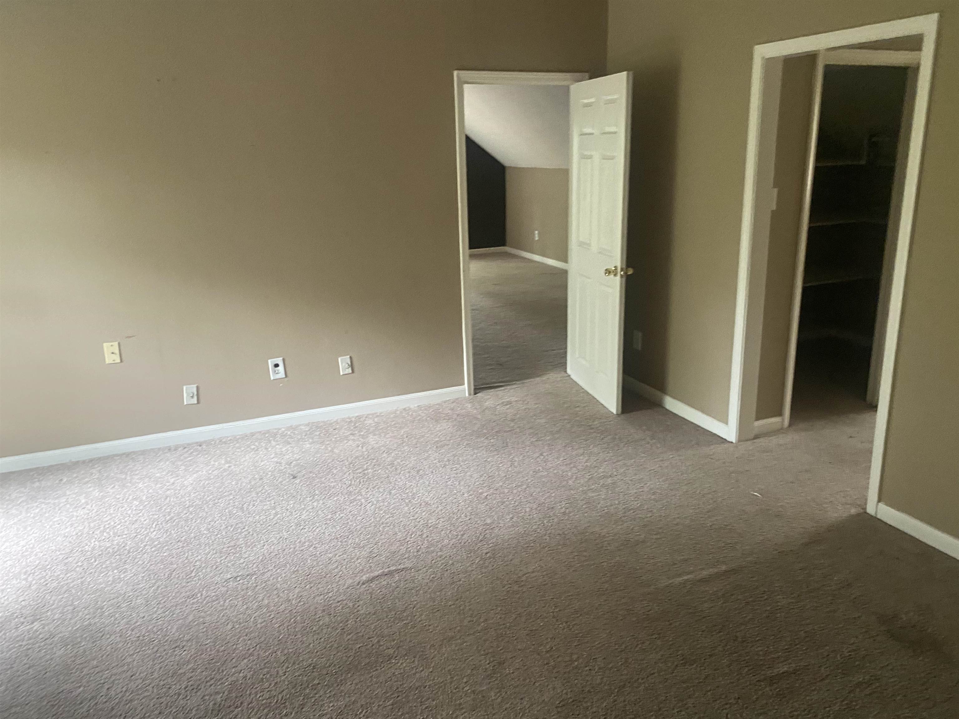3051 Knight Road Memphis, TN 38118 - Photo 18 of 18 an empty room with closet and mirror
