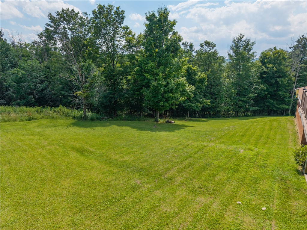 1560 Day Road Dansville, NY 14807 - Photo 48 of 50
