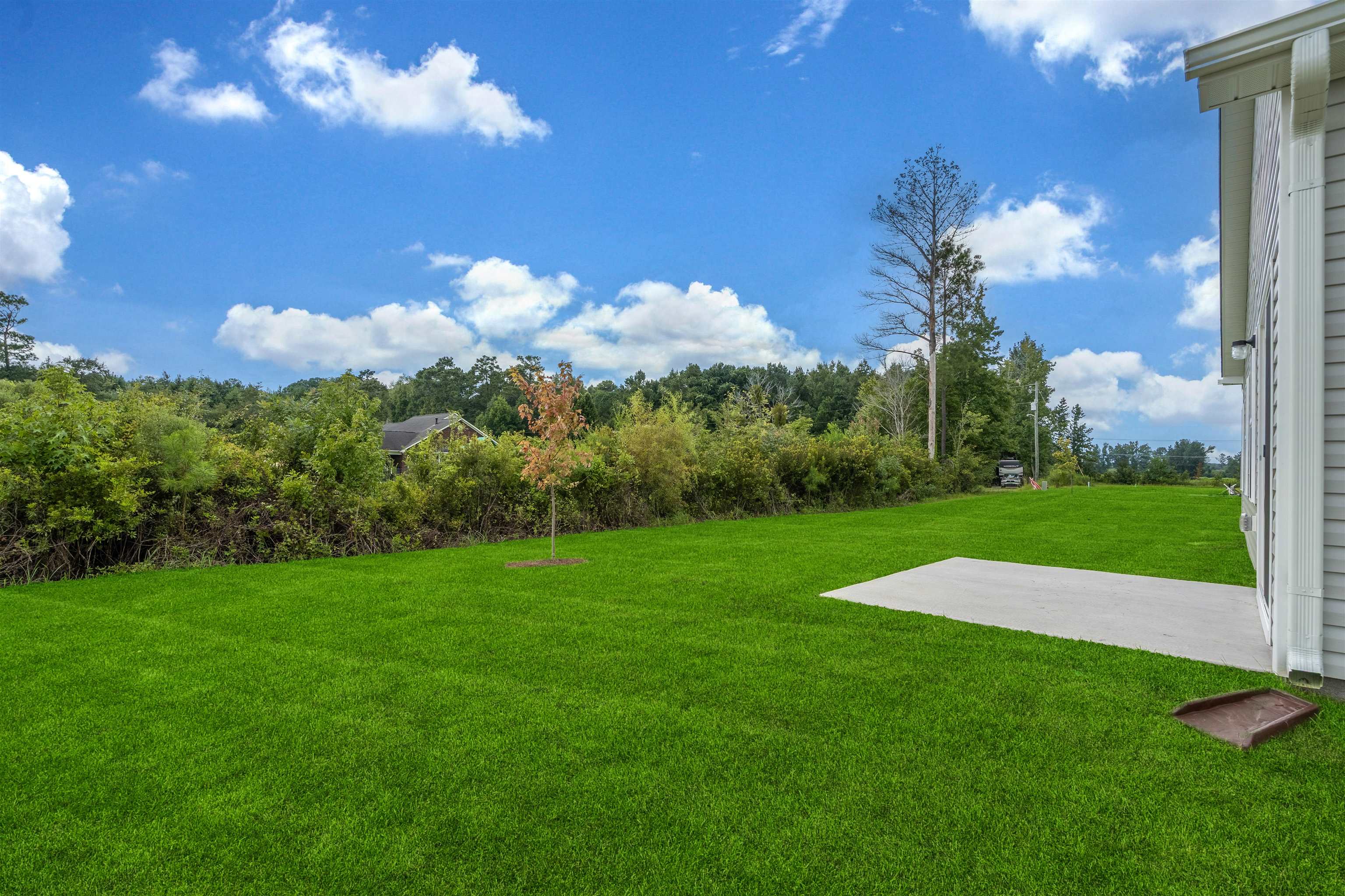 1074 Cherrystone Loop Conway, SC 29526 - Photo 7 of 52 Gallery Image 7