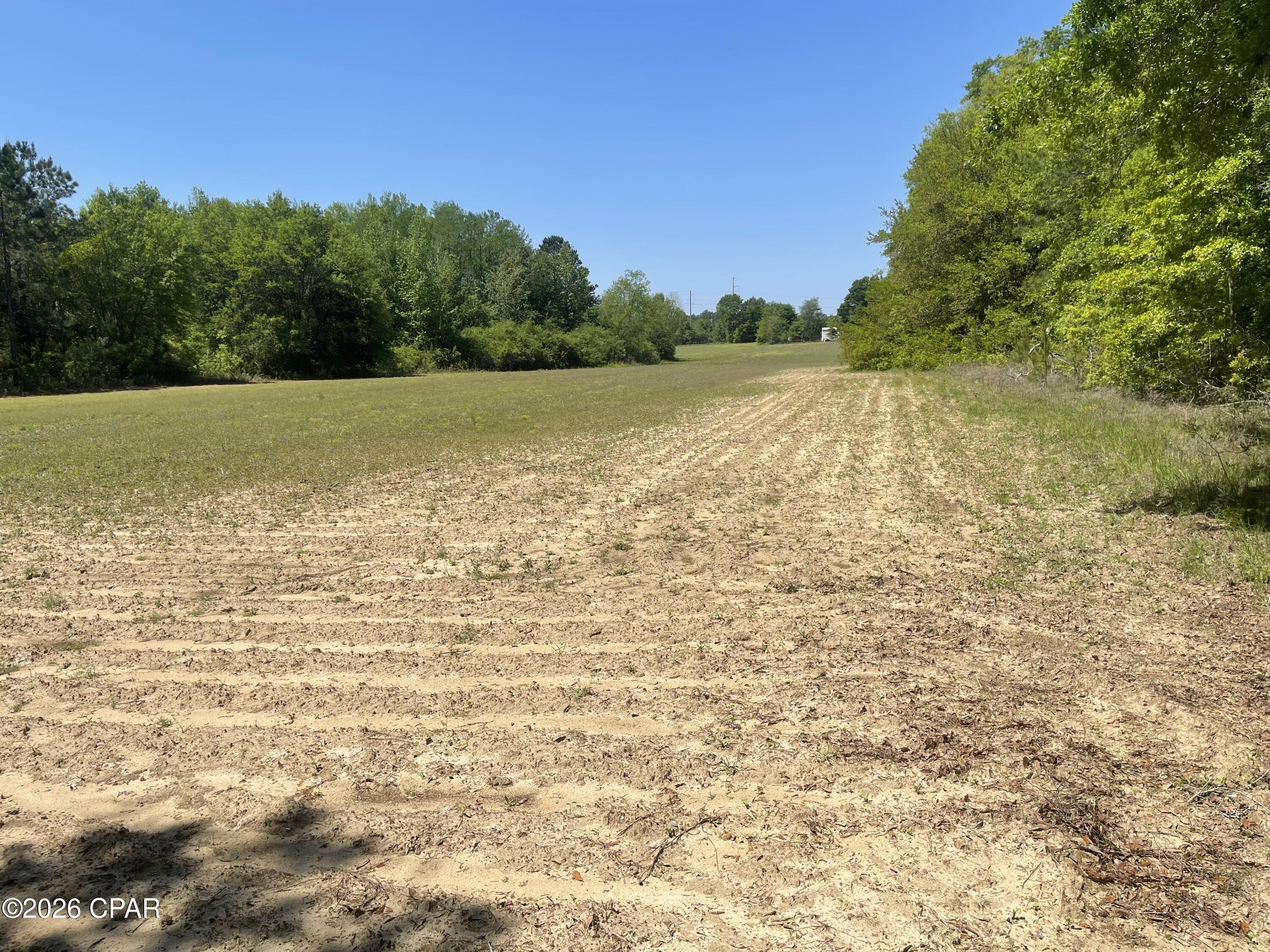 10 Peanut Road Graceville, FL 32440 - Photo 2 of 18