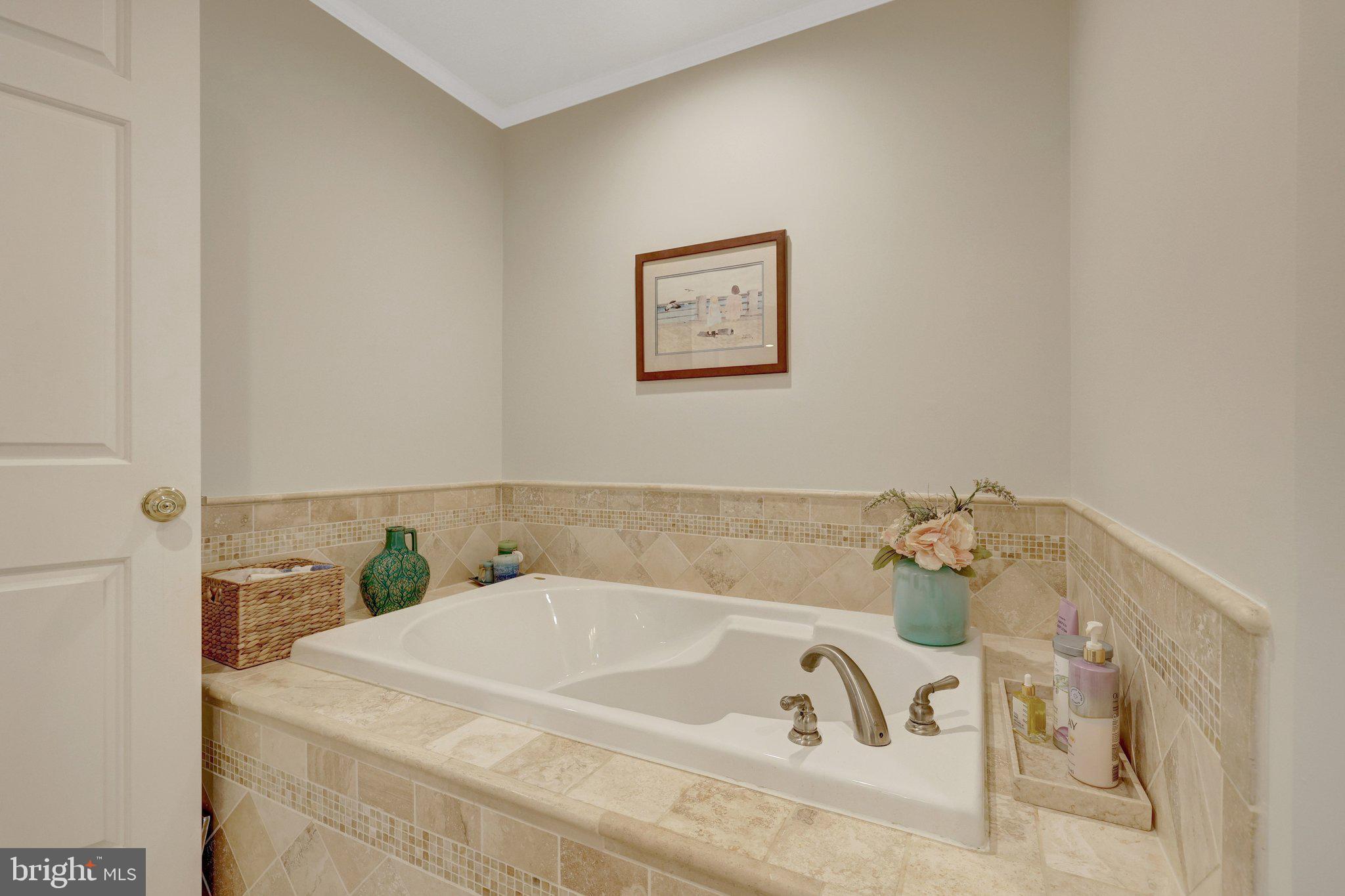 21039 Barcroft Way Sterling, VA 20164 - Photo 37 of 63 a bathroom with a bathtub
