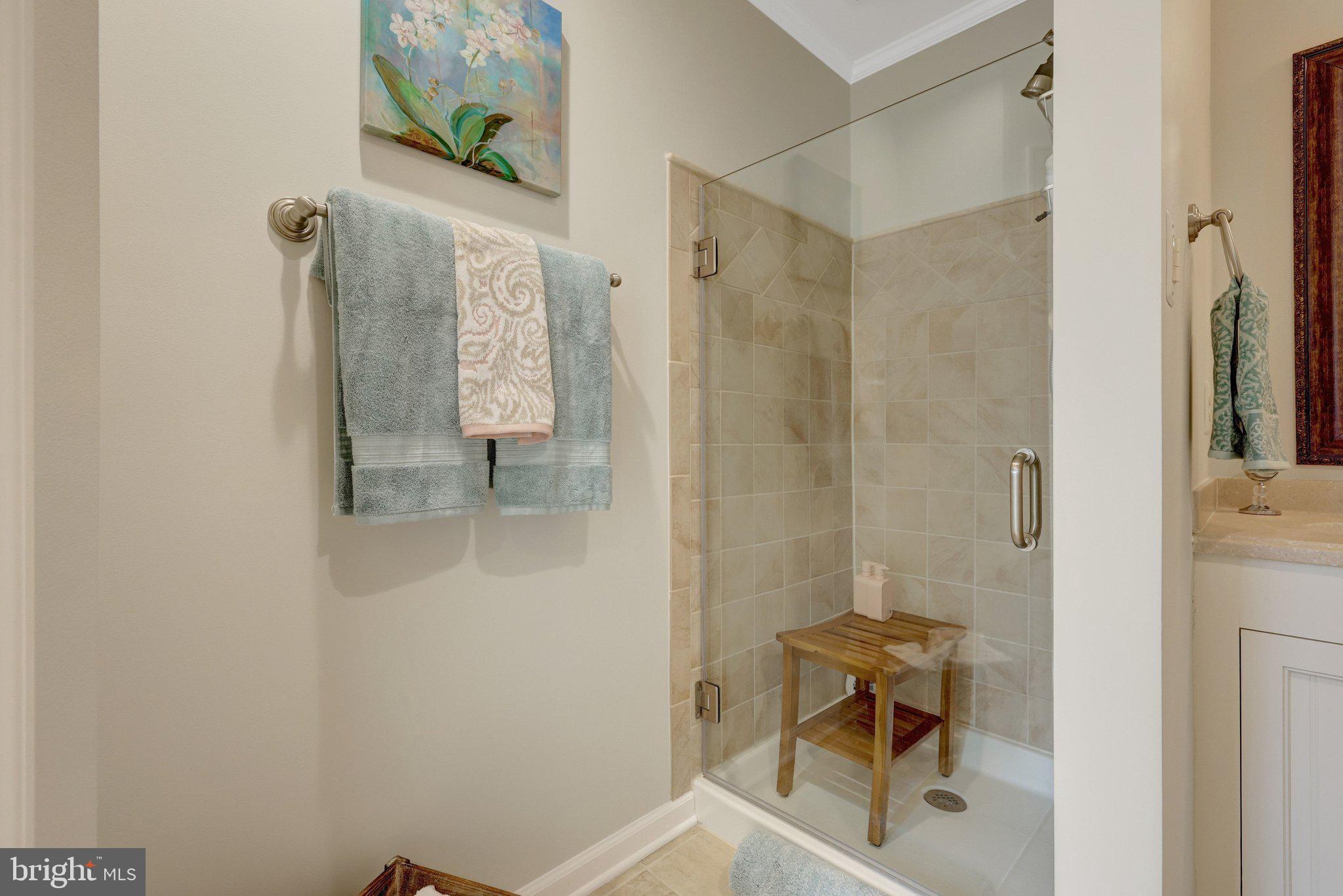21039 Barcroft Way Sterling, VA 20164 - Photo 38 of 63 a bathroom with a shower and a sink