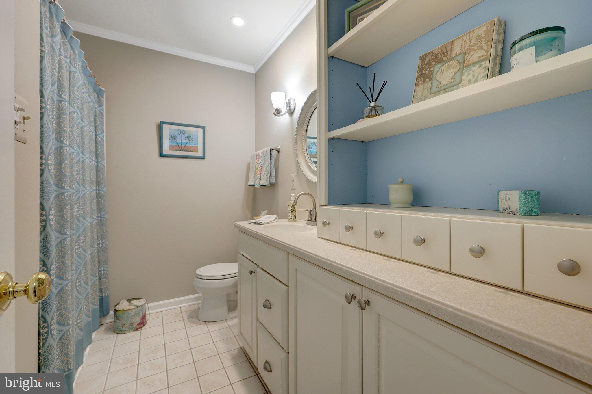 21039 Barcroft Way Sterling, VA 20164 - Photo 44 of 63 a bathroom with a toilet sink and mirror