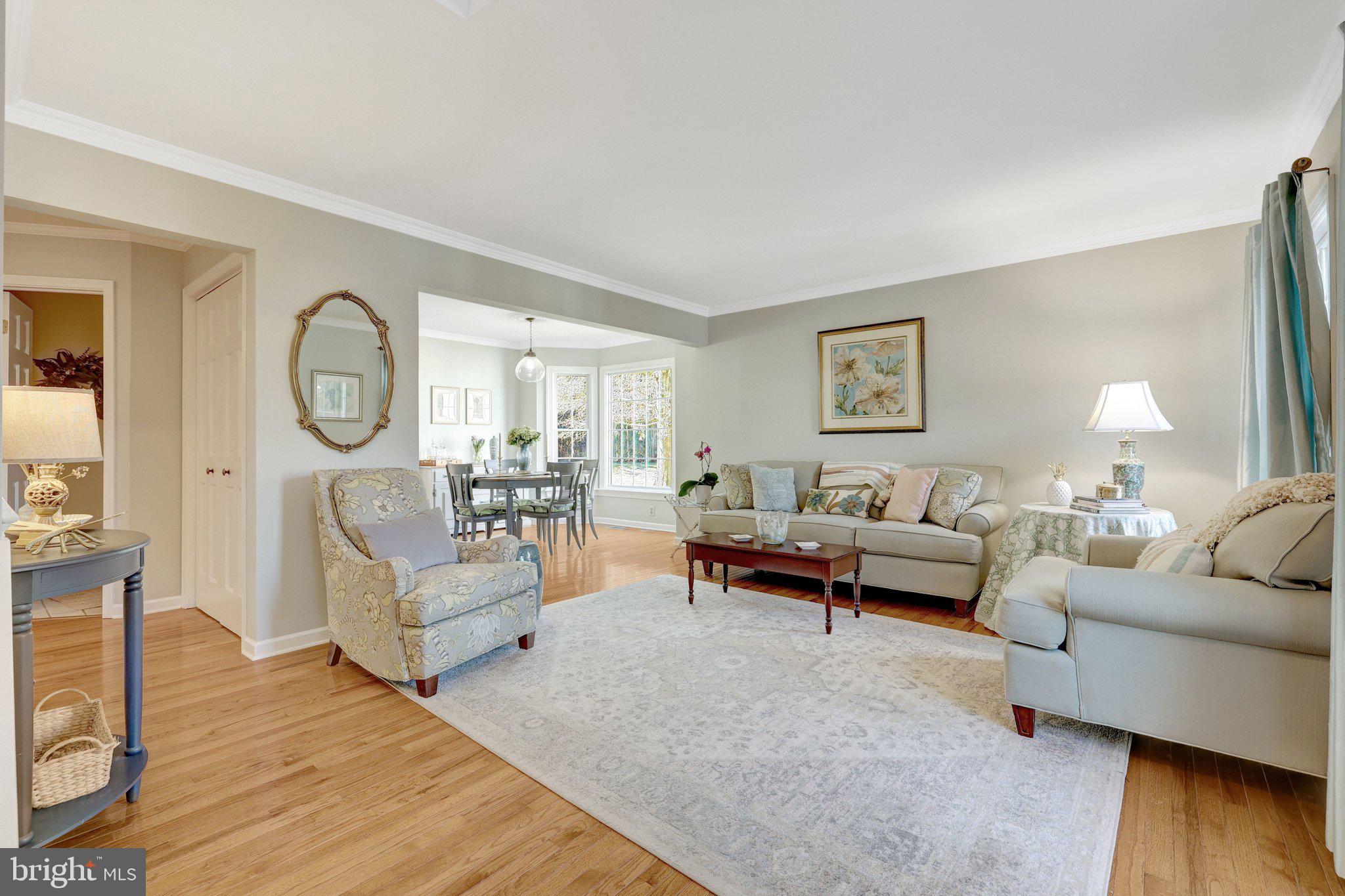 21039 Barcroft Way Sterling, VA 20164 - Photo 8 of 63 a living room with fireplace furniture and a wooden floor