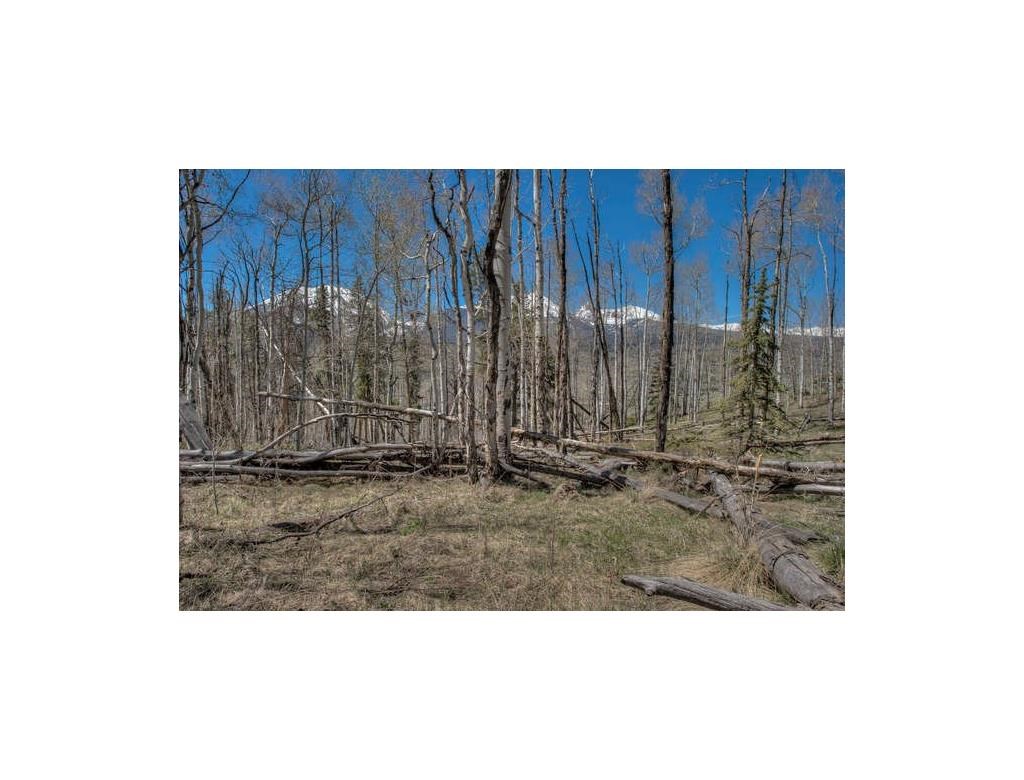 176 Angler Mountain Ranch Road Silverthorne, CO 80498 - Photo 7 of 15 Gallery Image 7