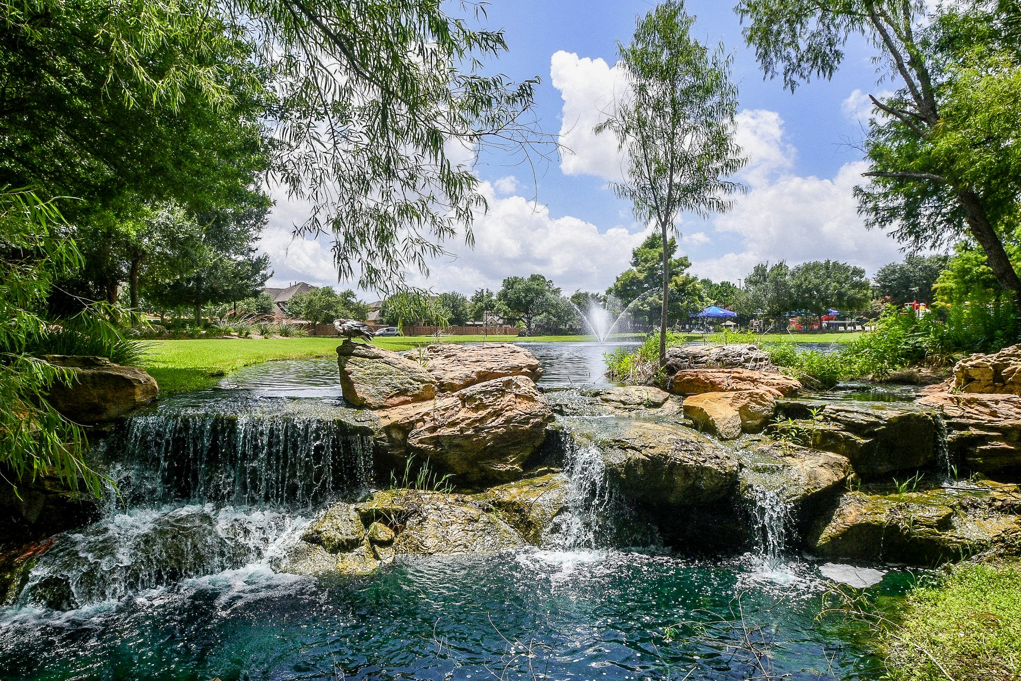 28426 Rolling Ridge Drive Katy, TX 77494 - Photo 47 of 50