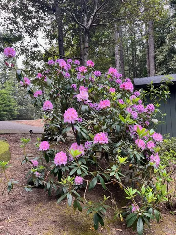 $485,000 | 45270 Ocean View Lane, Gualala, CA 95445