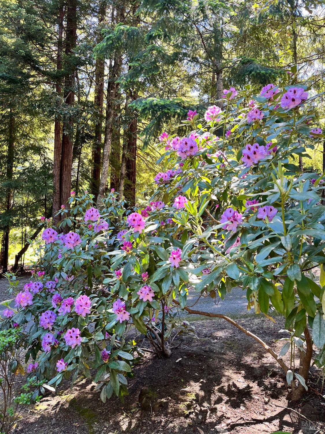 45270 Ocean View Lane Gualala, CA 95445 - Photo 36 of 42