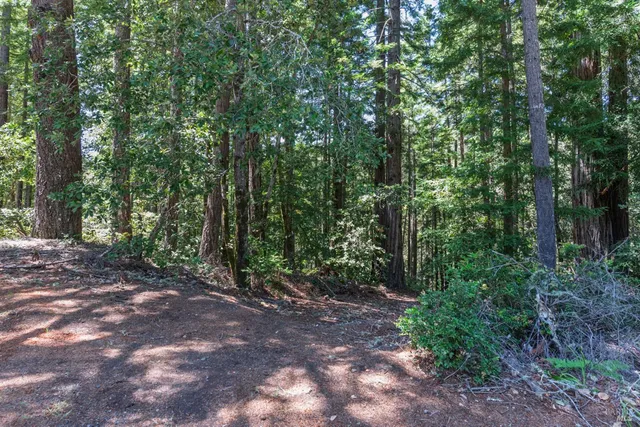 $485,000 | 45270 Ocean View Lane, Gualala, CA 95445