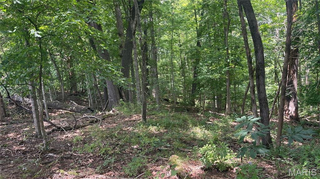 920 South Poplar Camp Road Makanda, IL 62958 - Photo 32 of 53
