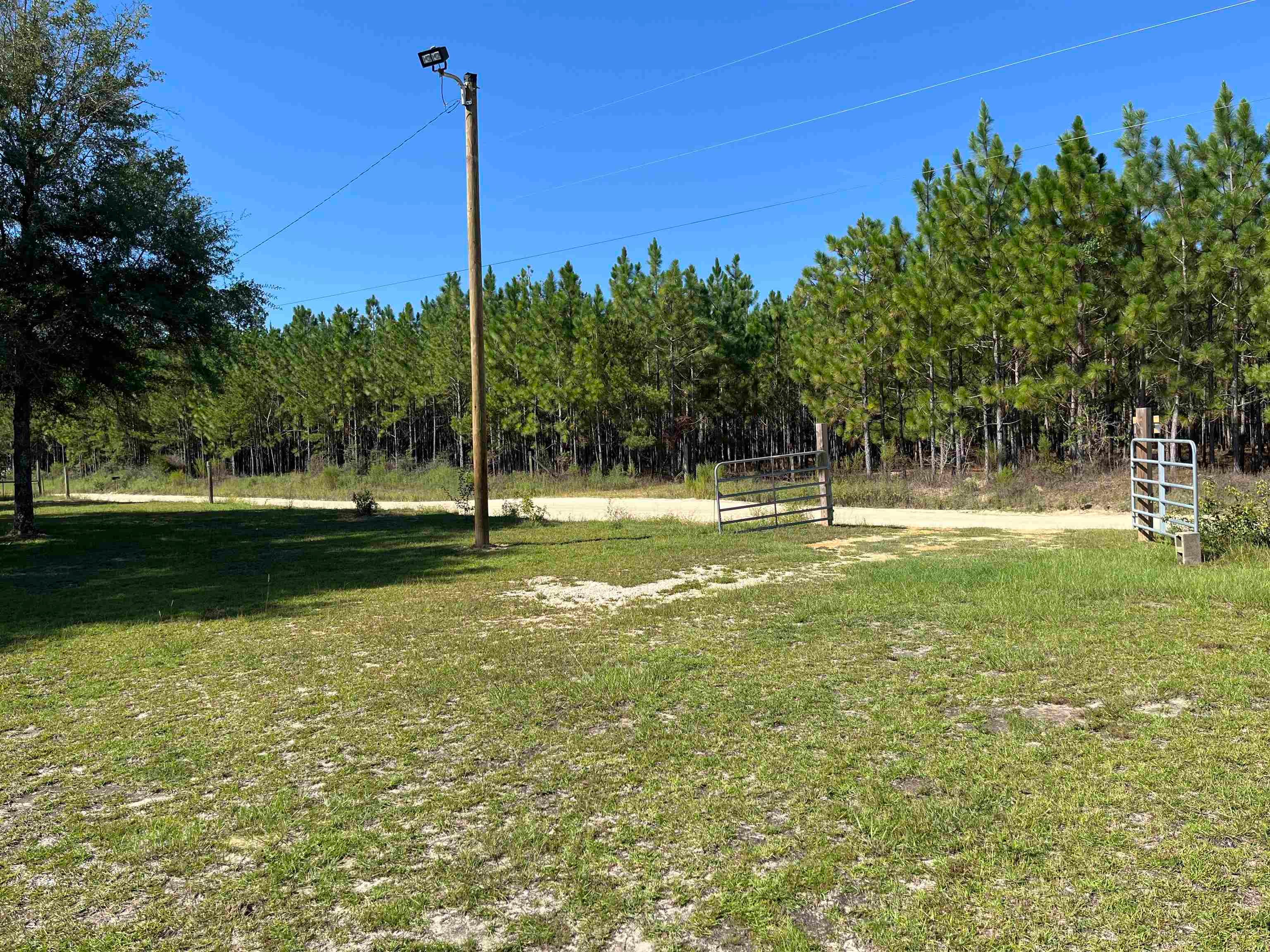 19552 Bert Diamond Road Andalusia, AL 36421 - Photo 11 of 12 Gallery Image 11
