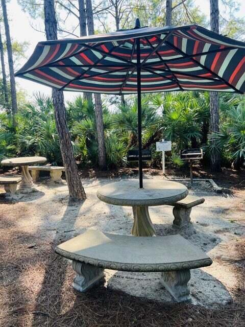 45 Town Center Loop, Unit 216 Santa Rosa Beach, FL 32459 - Photo 33 of 41 Picnic Area