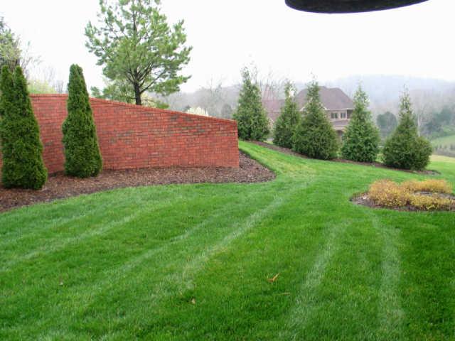 8108 Chaseview Road Nashville, TN 37221 - Photo 20 of 20 Gallery Image 20