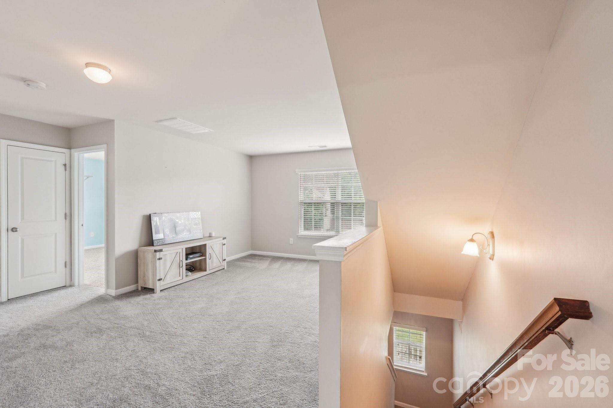 217 Almora Loop Mooresville, NC 28115 - Photo 19 of 42