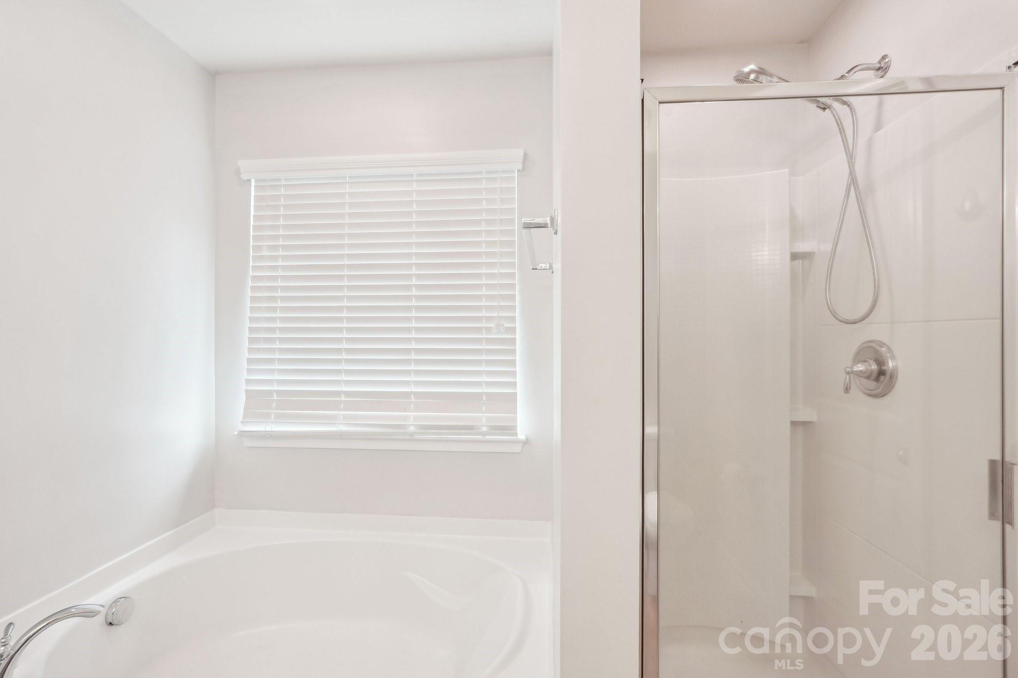 217 Almora Loop Mooresville, NC 28115 - Photo 22 of 42