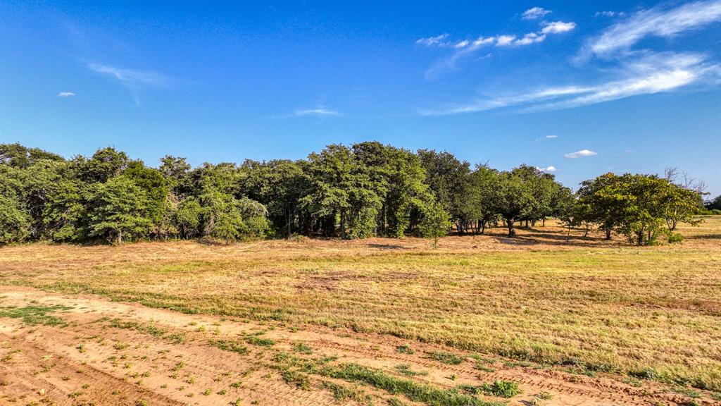 Lot 33 Three Quarter Loop Poolville, TX 76487 - Photo 7 of 9