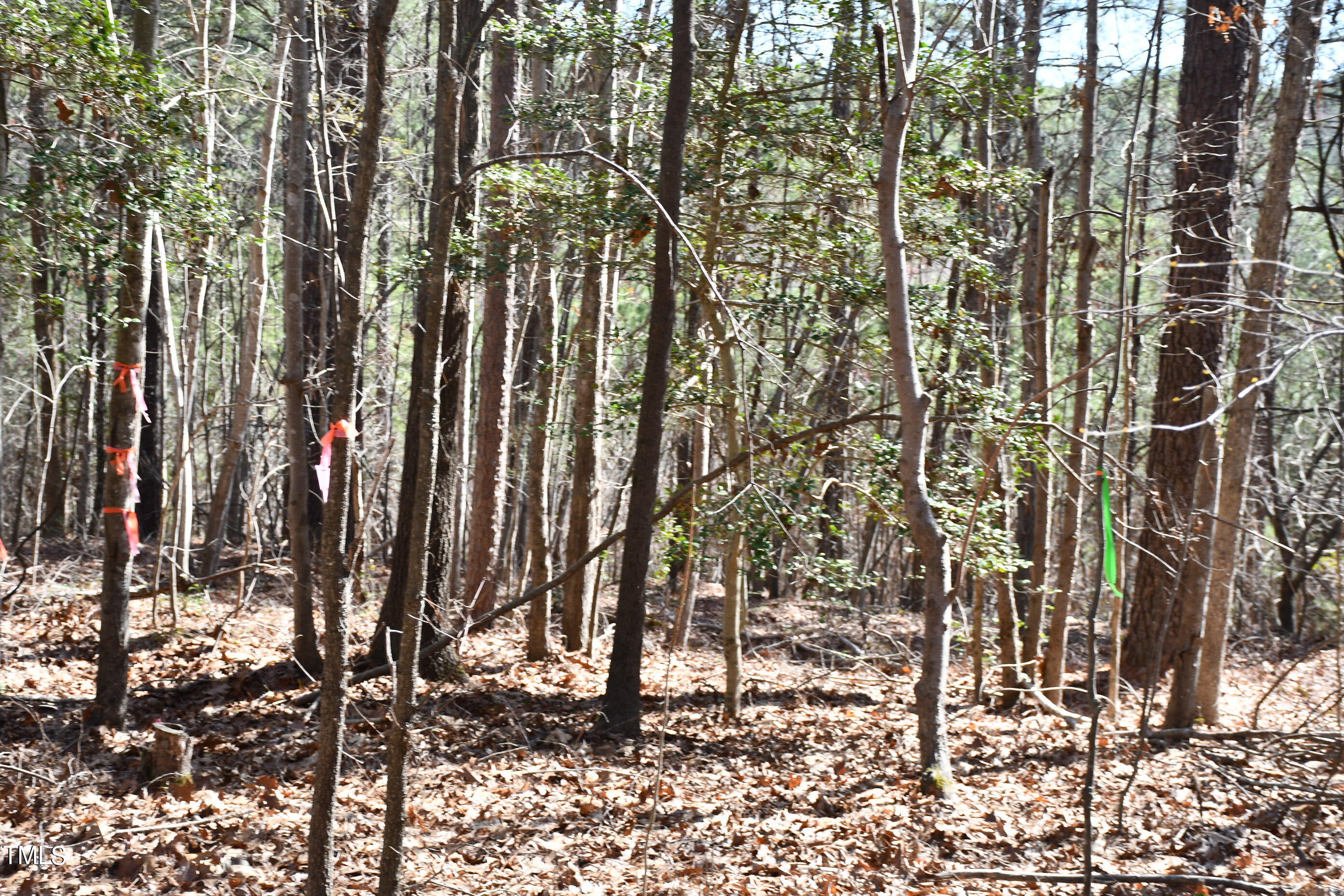705 Gade Bryant Road Moncure, NC 27559 - Photo 11 of 11 Flags