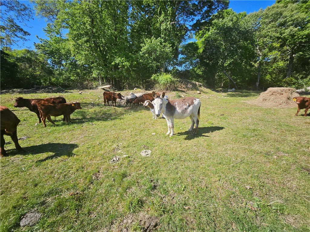 241 Cornell Road Tiverton, RI 02878 - Photo 30 of 47