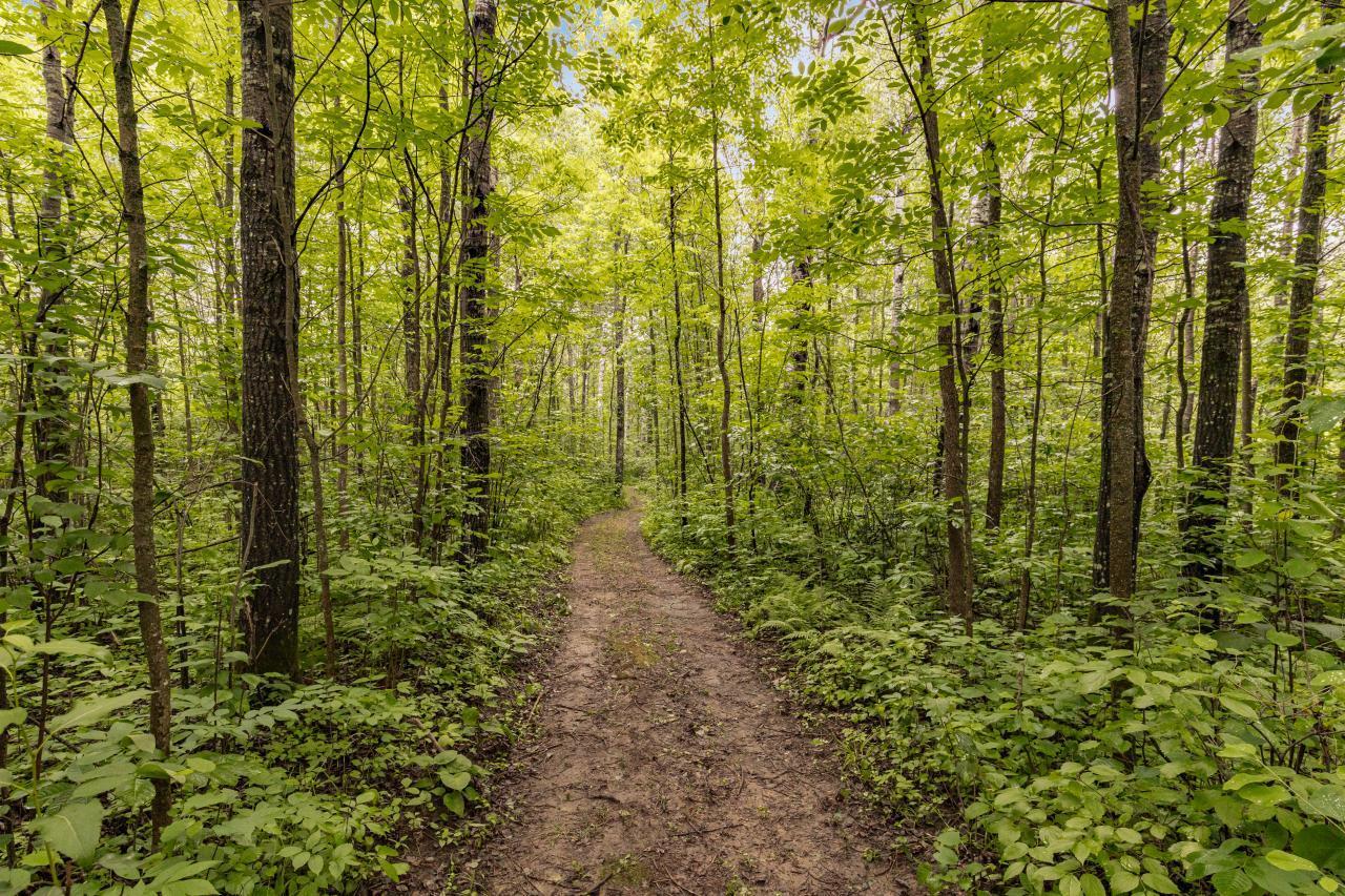 8194 Glen Junction Road Cotton, MN 55724 - Photo 42 of 47