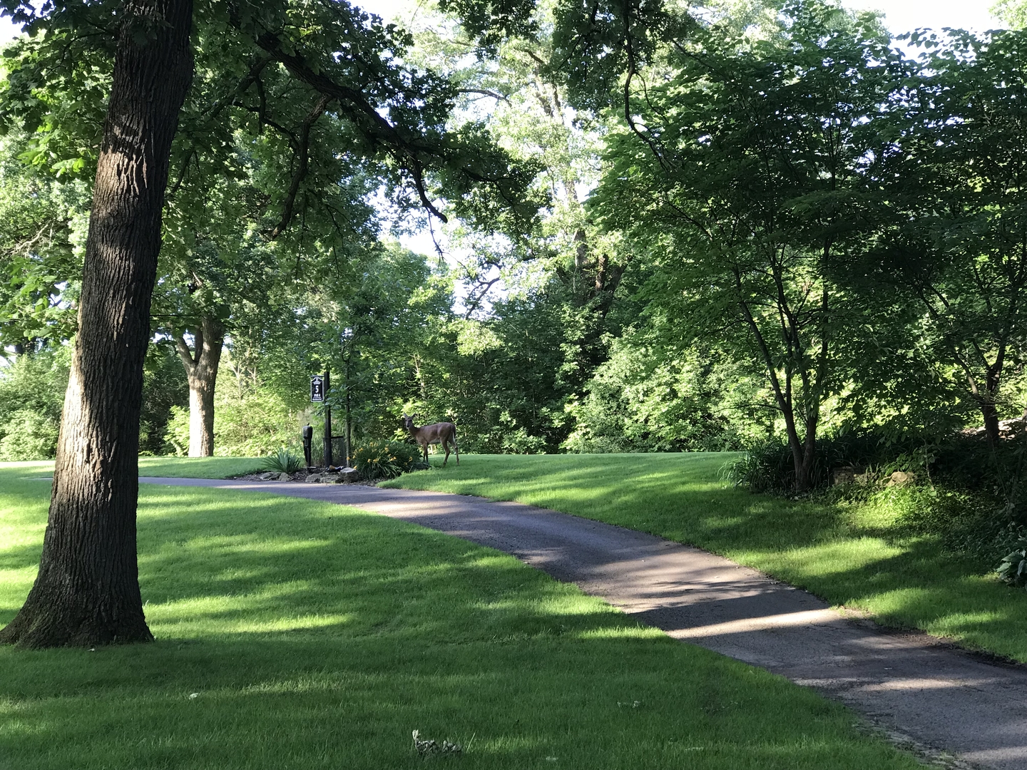 6420 Double Eagle Drive, Unit 506 Woodridge, IL 60517 - Photo 37 of 40