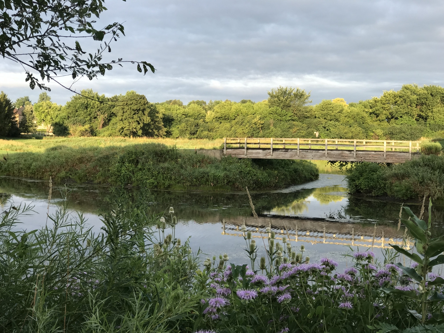 6420 Double Eagle Drive, Unit 506 Woodridge, IL 60517 - Photo 38 of 40