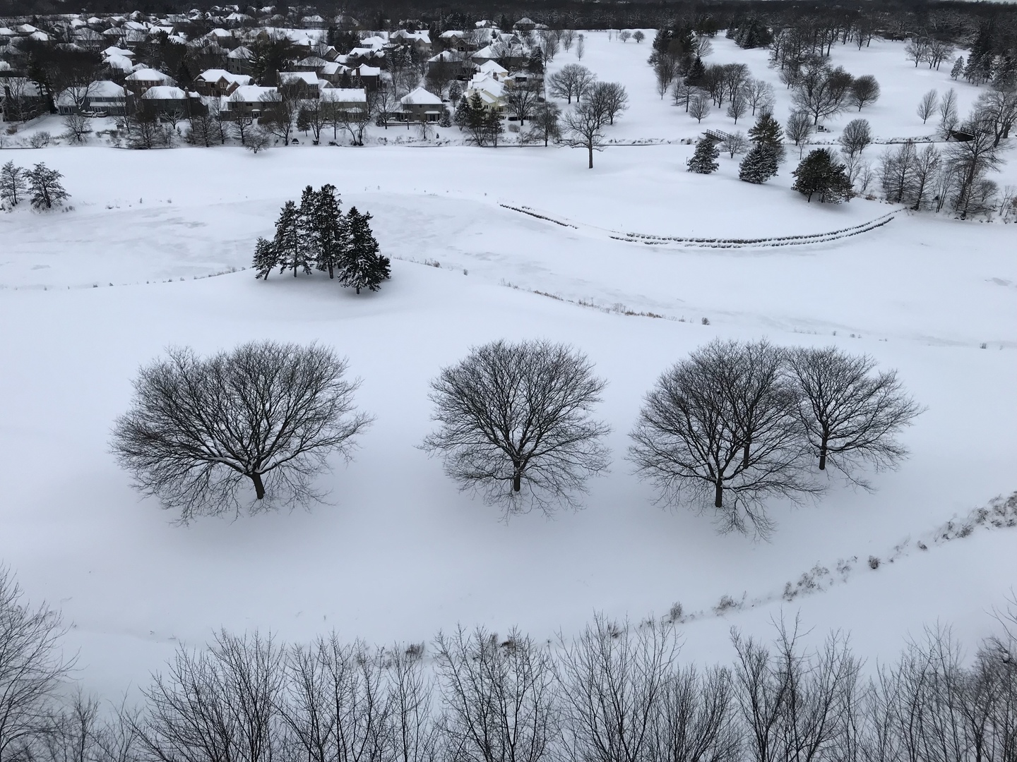 6420 Double Eagle Drive, Unit 506 Woodridge, IL 60517 - Photo 40 of 40