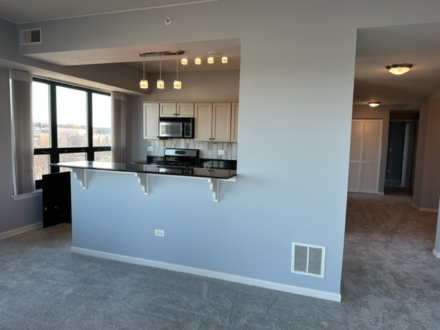 6420 Double Eagle Drive, Unit 506 Woodridge, IL 60517 - Photo 6 of 40