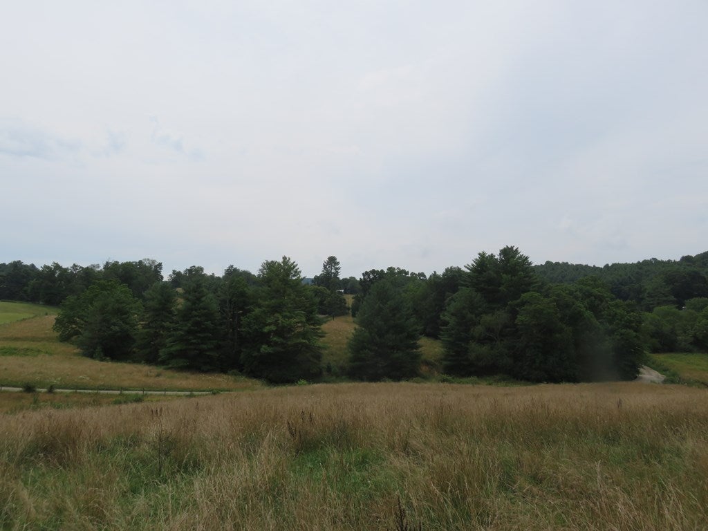 1905 Keno Road Fancy Gap, VA 24328 - Photo 43 of 46 Gallery Image 43