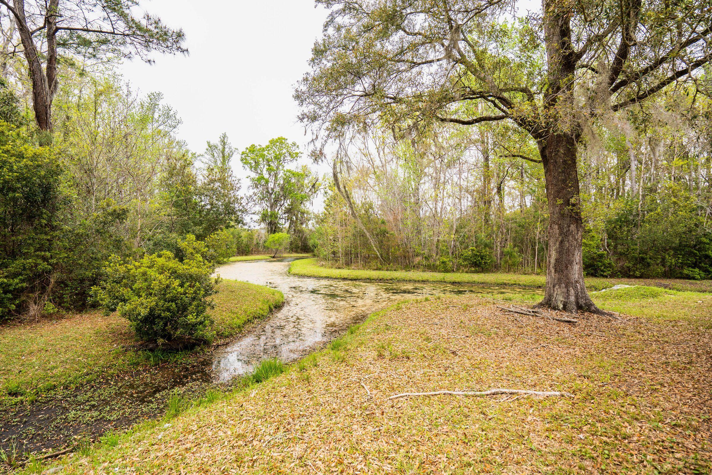 3122 Harding Court Johns Island, SC 29455 - Photo 60 of 71 Backyard Pond