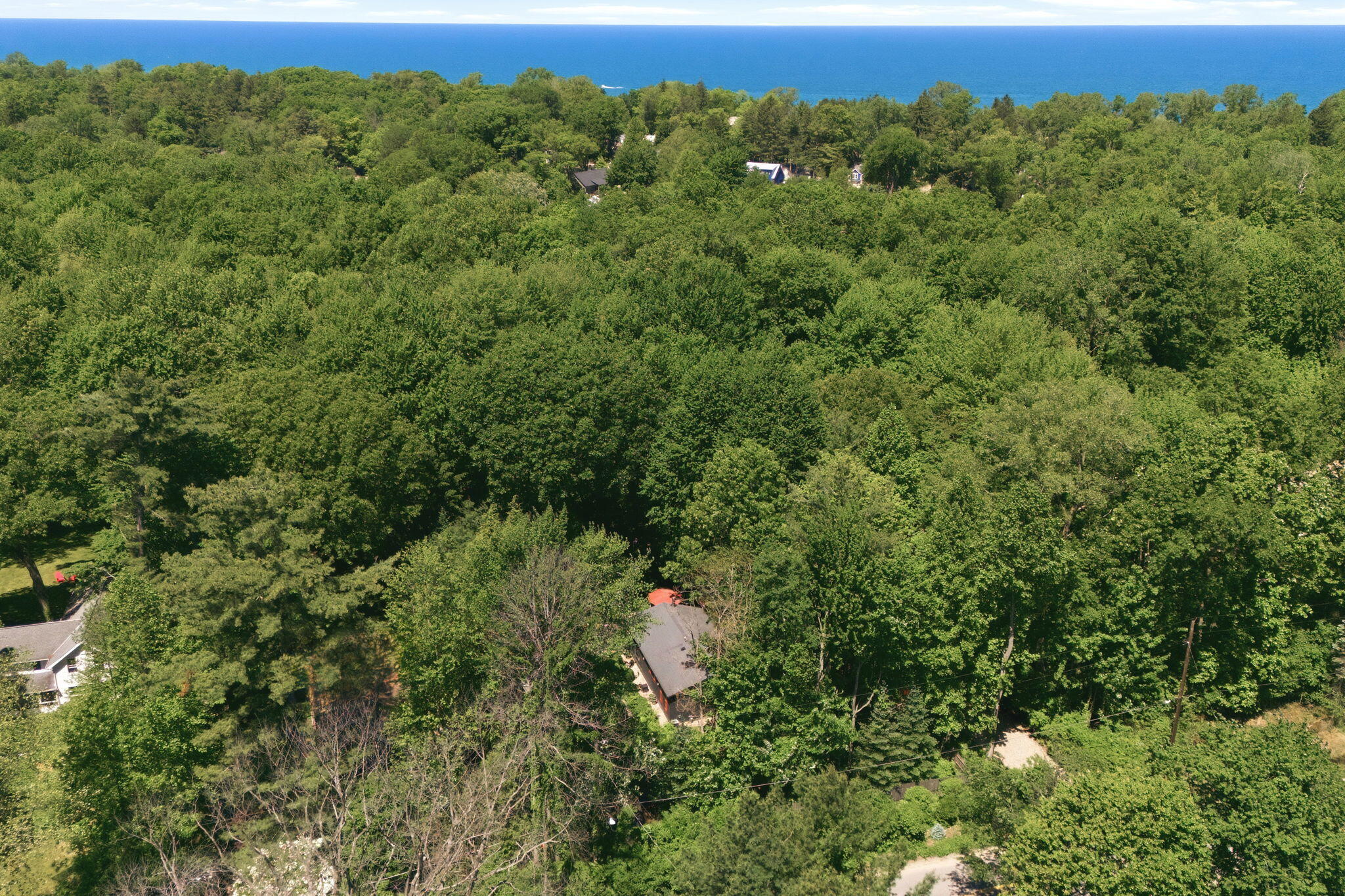 15724 Locke Road Union Pier, MI 49129 - Photo 40 of 42 one mile lake access