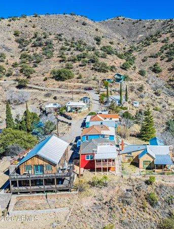 an aerial view of houses with trees