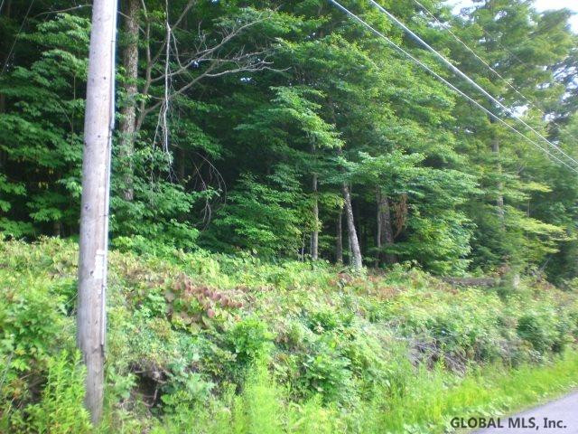 South Shore Road Caroga Lake, NY 12032 - Photo 3 of 5 Photo 3
