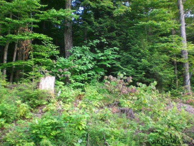 South Shore Road Caroga Lake, NY 12032 - Photo 4 of 5 Photo 4