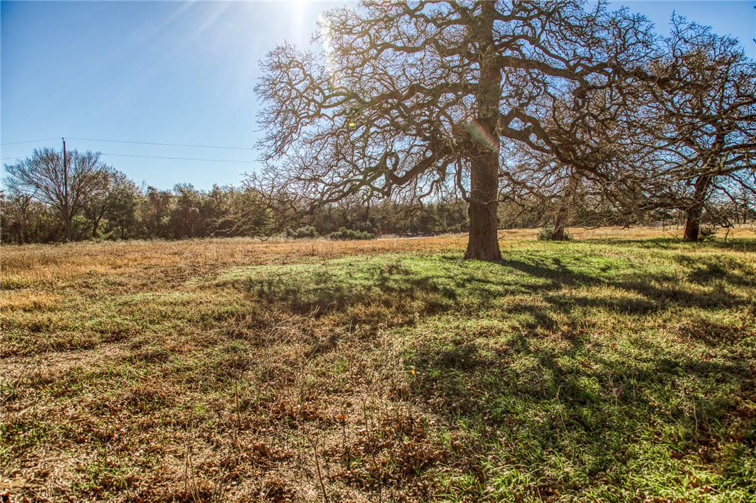 9354 Farm To Market 2780 Burton, TX 77835 - Photo 24 of 43 a view of a field with an trees