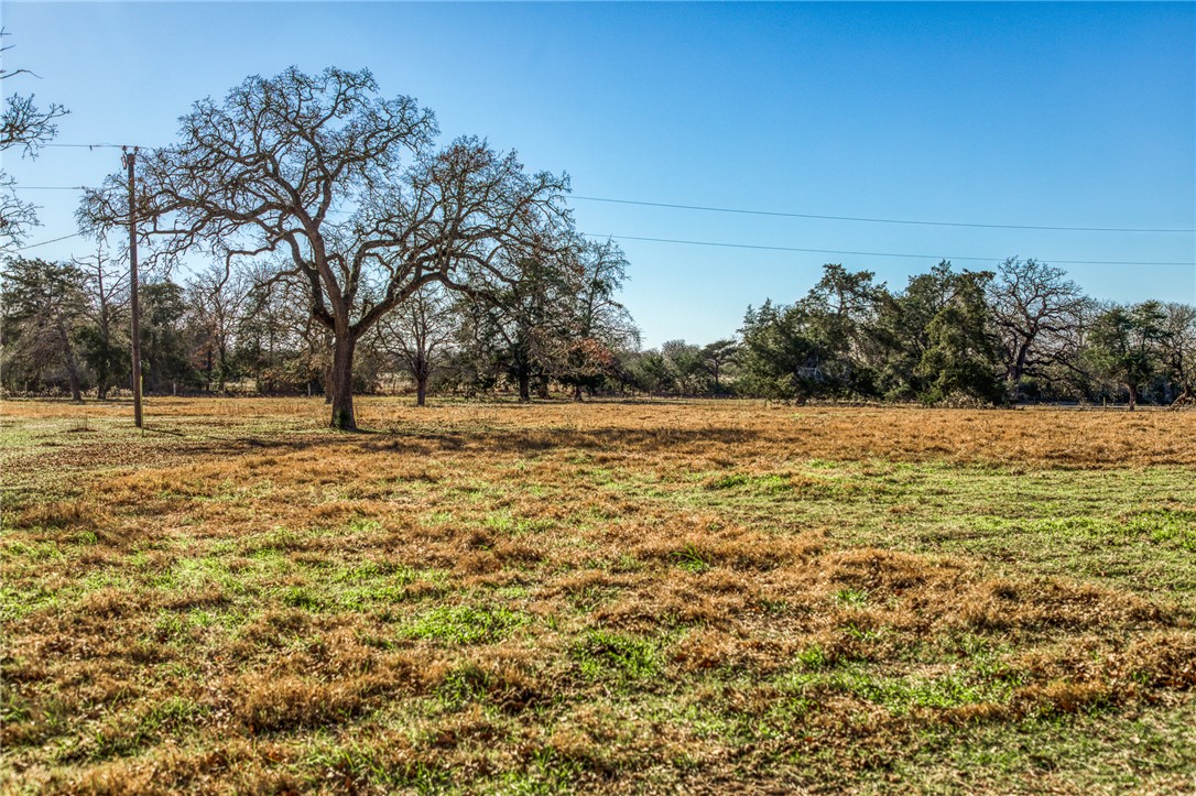 9354 Farm To Market 2780 Burton, TX 77835 - Photo 28 of 43 a view of a yard with a tree