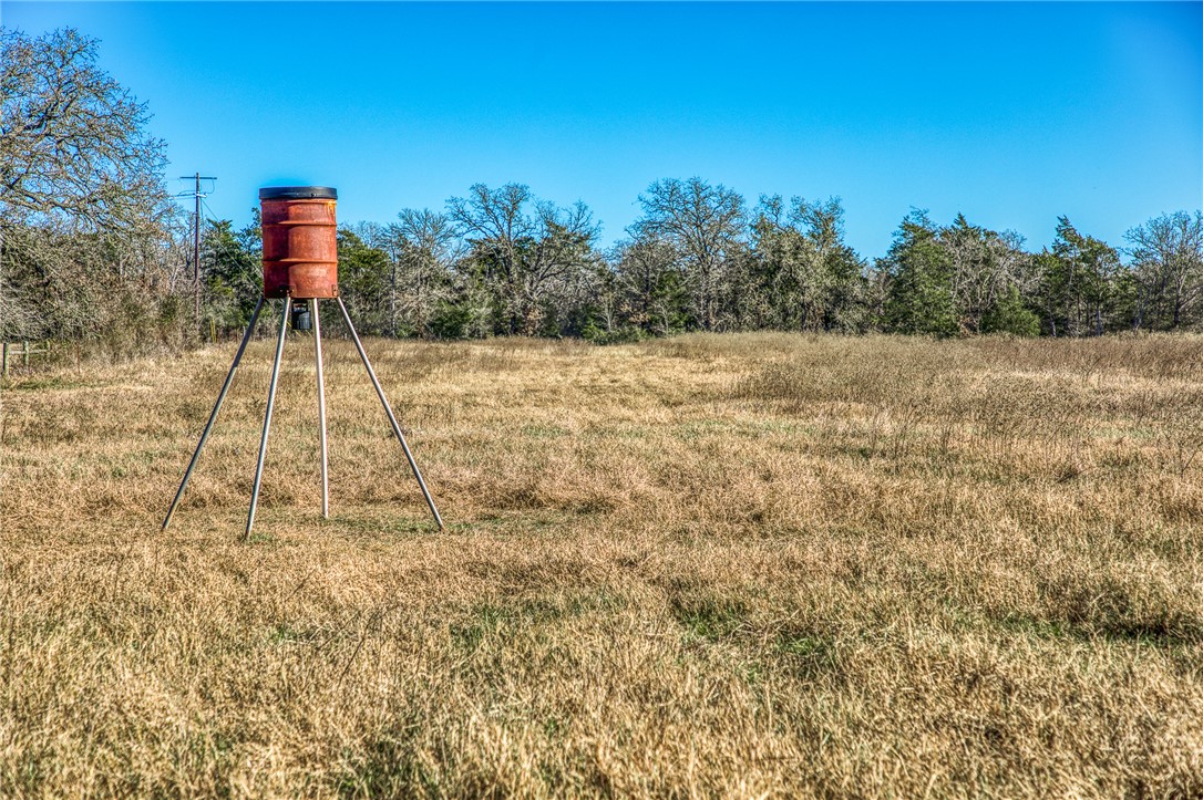 9354 Farm To Market 2780 Burton, TX 77835 - Photo 29 of 43 a view of a yard