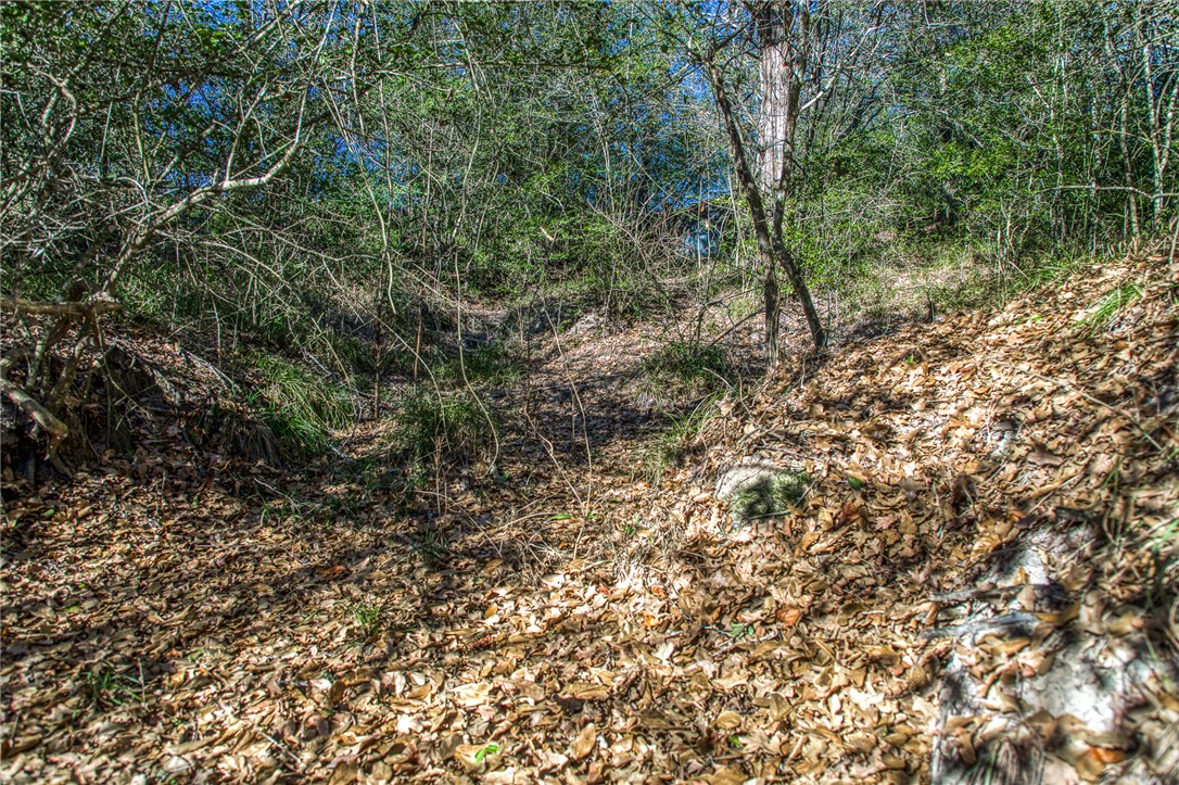 9354 Farm To Market 2780 Burton, TX 77835 - Photo 30 of 43 a view of a yard with a tree