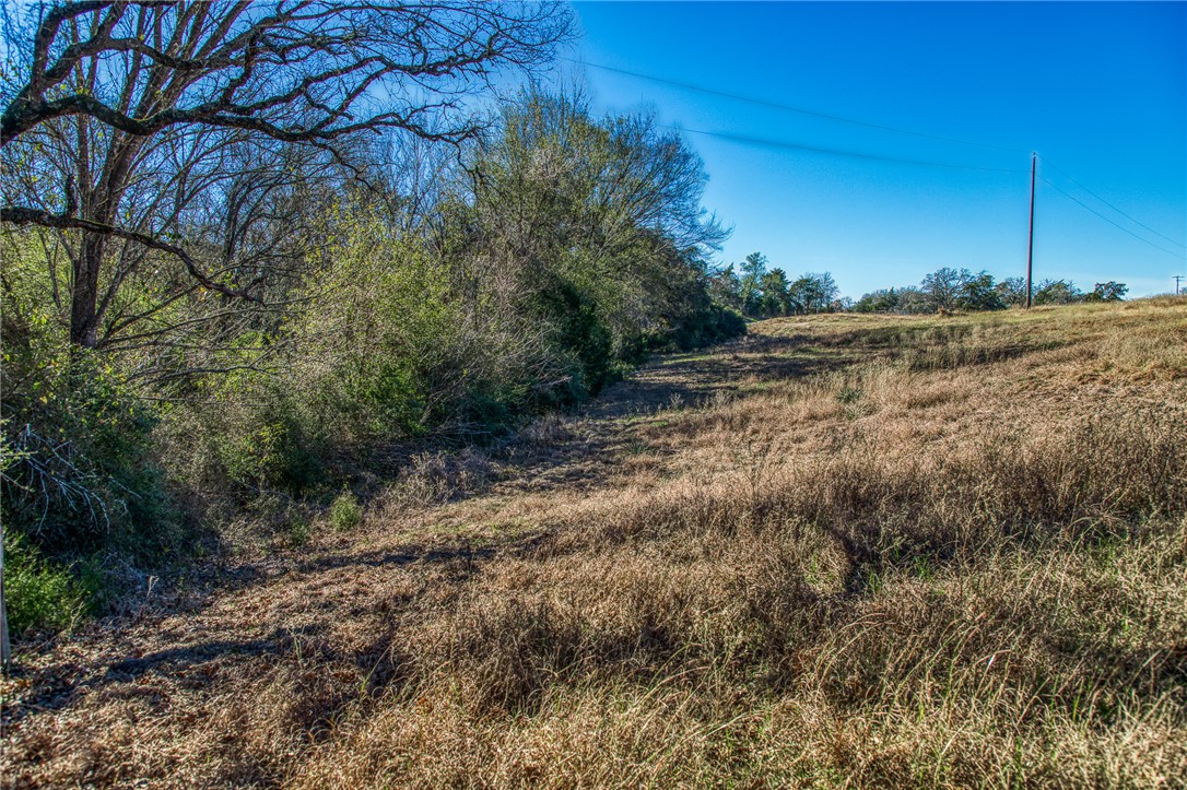 9354 Farm To Market 2780 Burton, TX 77835 - Photo 32 of 43 a view of a yard with a tree