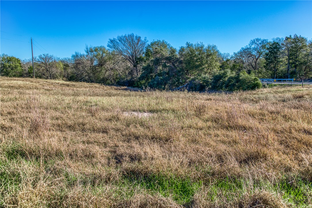 9354 Farm To Market 2780 Burton, TX 77835 - Photo 35 of 43 a view of a field with trees in the background