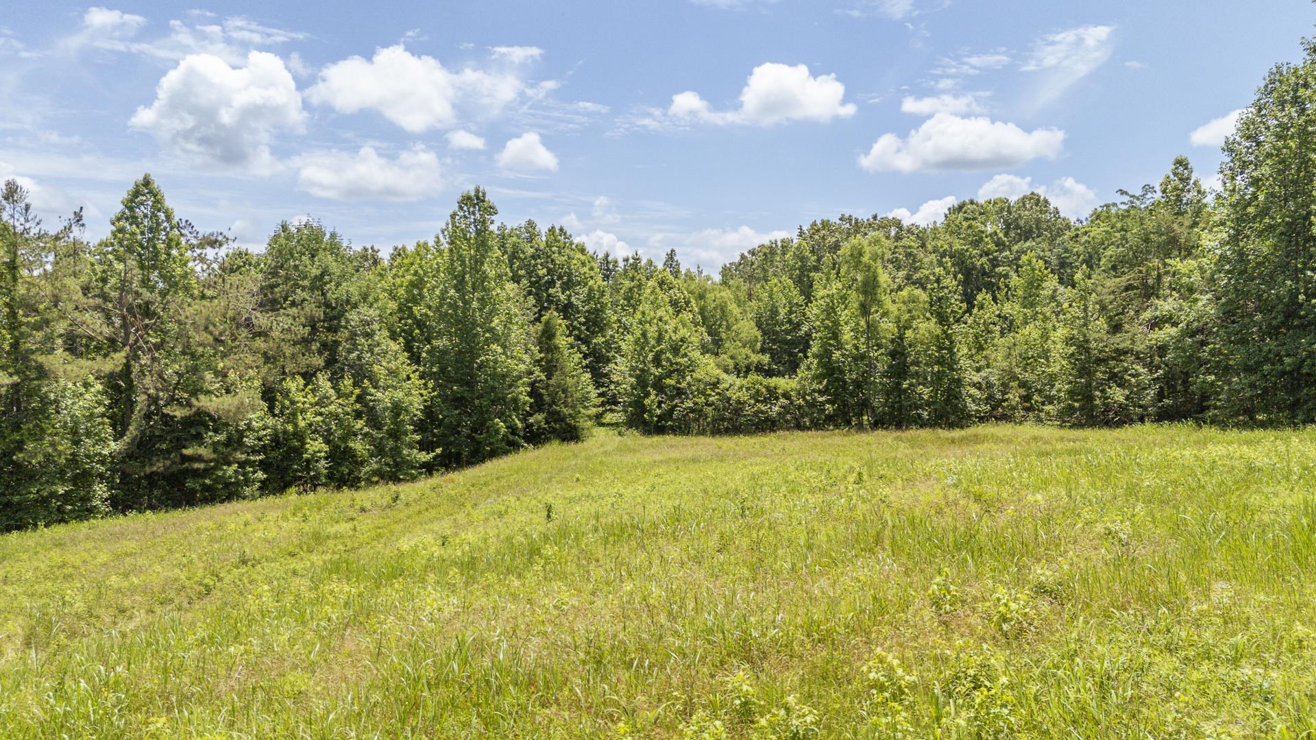 904 Capooth Road Ramer, TN 38367 - Photo 27 of 40