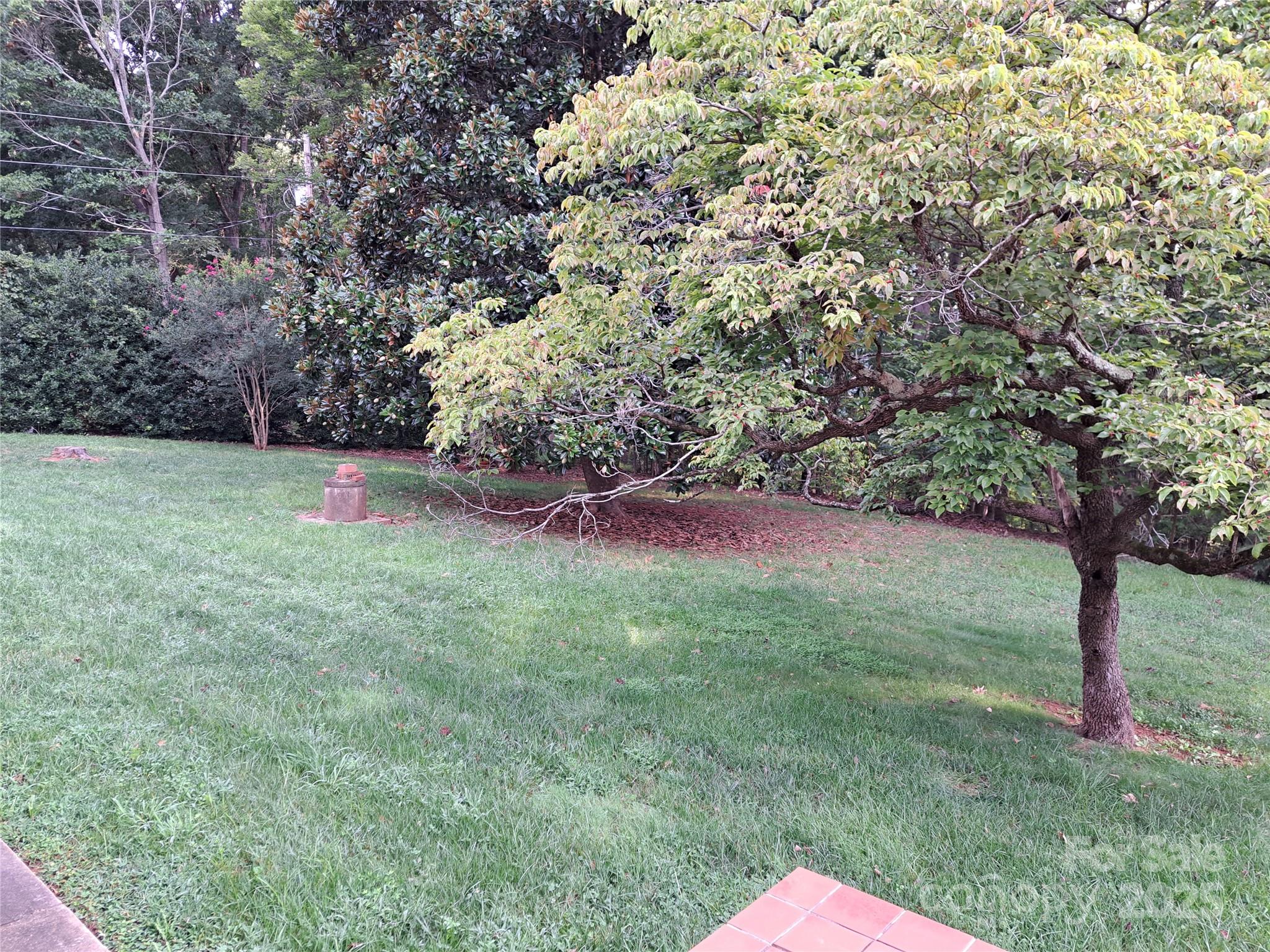 123 Softwind Lane Concord, NC 28025 - Photo 29 of 42 a view of outdoor space and yard