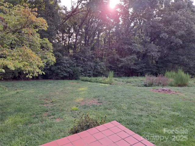 a view of a backyard with plants and toilet