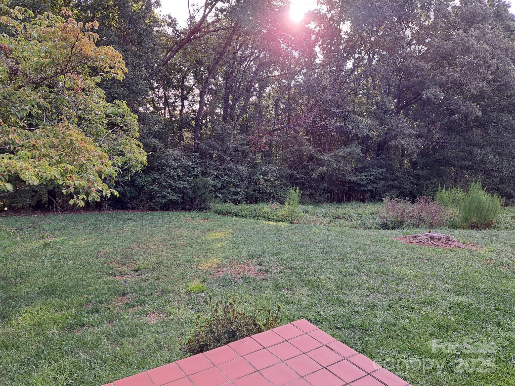 123 Softwind Lane Concord, NC 28025 - Photo 30 of 42 a backyard of a house with lots of green space