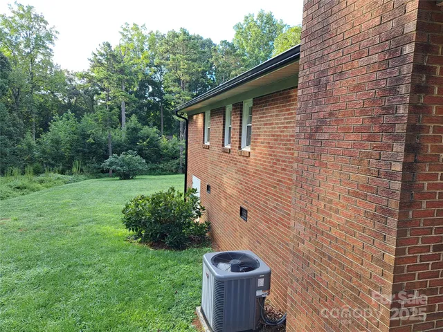 a view of a backyard with potted plants and large tree