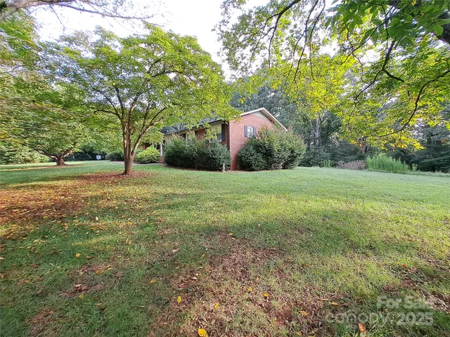 a view of a garden with a tree