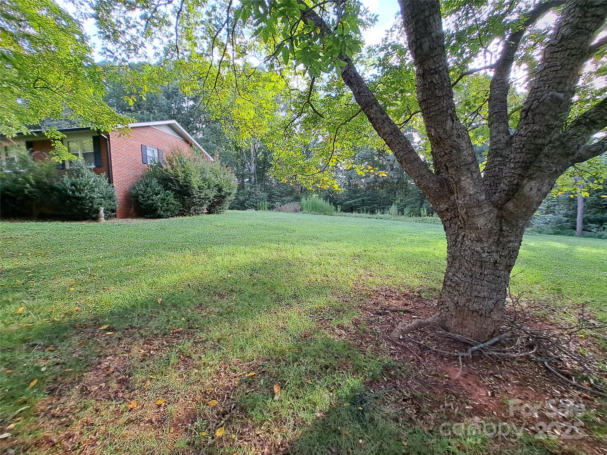 123 Softwind Lane Concord, NC 28025 - Photo 38 of 42 a view of a garden with a tree