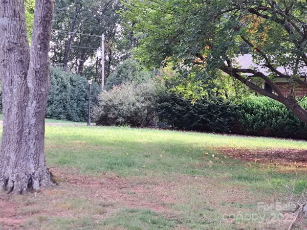 a view of a yard with a tree