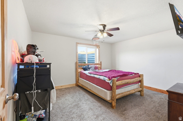 306 Spring Road Preston, ID 83263 - Photo 30 of 55 Spacious room featuring neutral carpeting, white walls, and natural wood trim